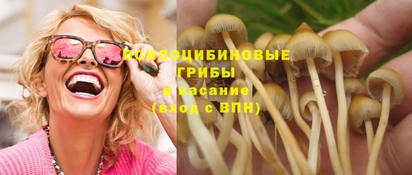 ECSTASY Горно-Алтайск