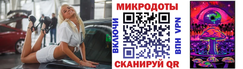 Галлюциногенные грибы Psilocybe  hydra ССЫЛКА  Дзержинский 