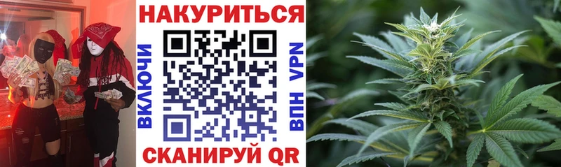 маркетплейс официальный сайт Дзержинский Конопля ГИДРОПОН